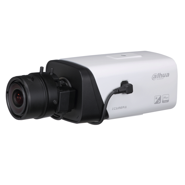 Dahua WizMind 5 MP Fisheye Akıllı Analizli IP Kamera (IPC-EB5541-AS)
